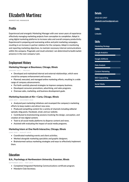 Sydney theme resume template