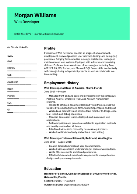 Vienna theme resume template
