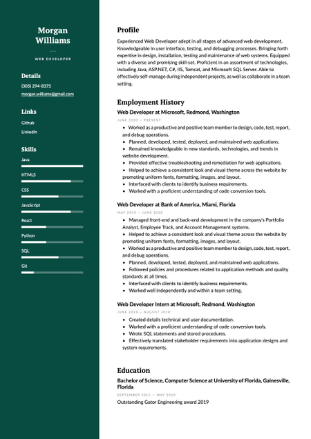 Dublin theme resume template