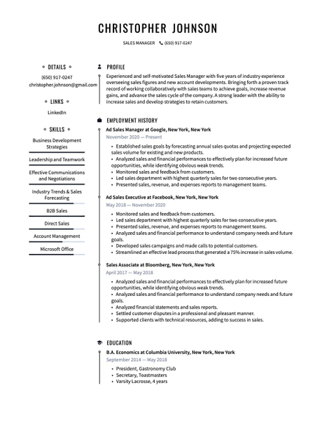New York theme resume template