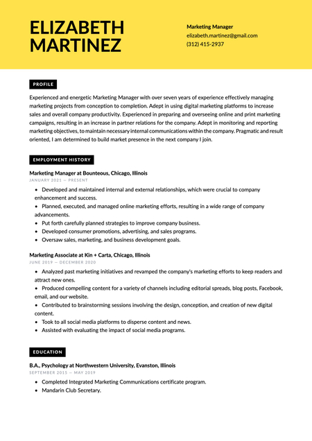 Madrid theme resume template
